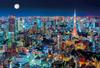 BEVERLY (BEVERLY) [Made In Japan] Beverly 300-Piece Jigsaw Puzzle Tokyo Night View (26 X 38 Cm) 300-015