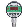 Цифровой гидравлический манометр 1.0 Точность манометра давления с ЖК-дисплеем