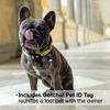 ОШЕЙНИК ROOKCRAN для Собак Max Molly M Ошейник Киви Стильный Милый Тренировочный Питомец 115858 &