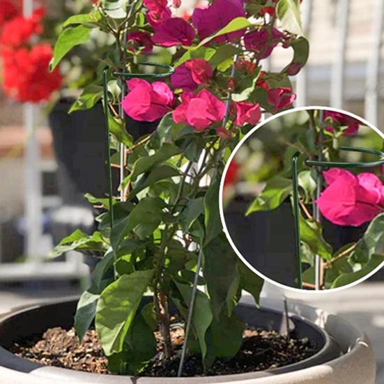 12 шт. Спиральные колышки для томатов, колышки для поддержки растений, колышки для вьющихся растений, для томатов, орхидеи-бабочки, цветов, для домашнего садоводства