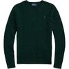 Polo Solid Color Slim Fit Long Sleeve Sweater Women Sweater Dark-Green 211910421-027