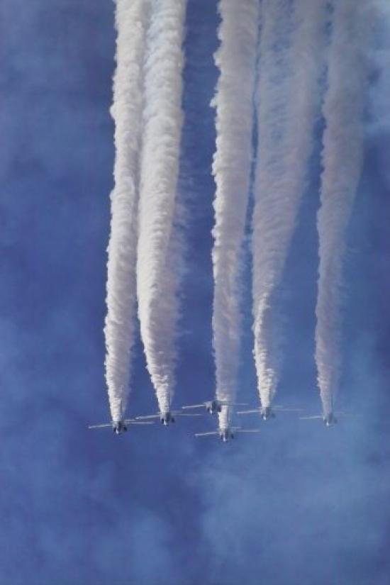 Sigma Telephoto Zoom Lens DG MACRO Sony Mount 70-300mm F4-5.6 A()