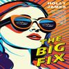 The Big Fix by Holly James Hardback Book 9781496751744