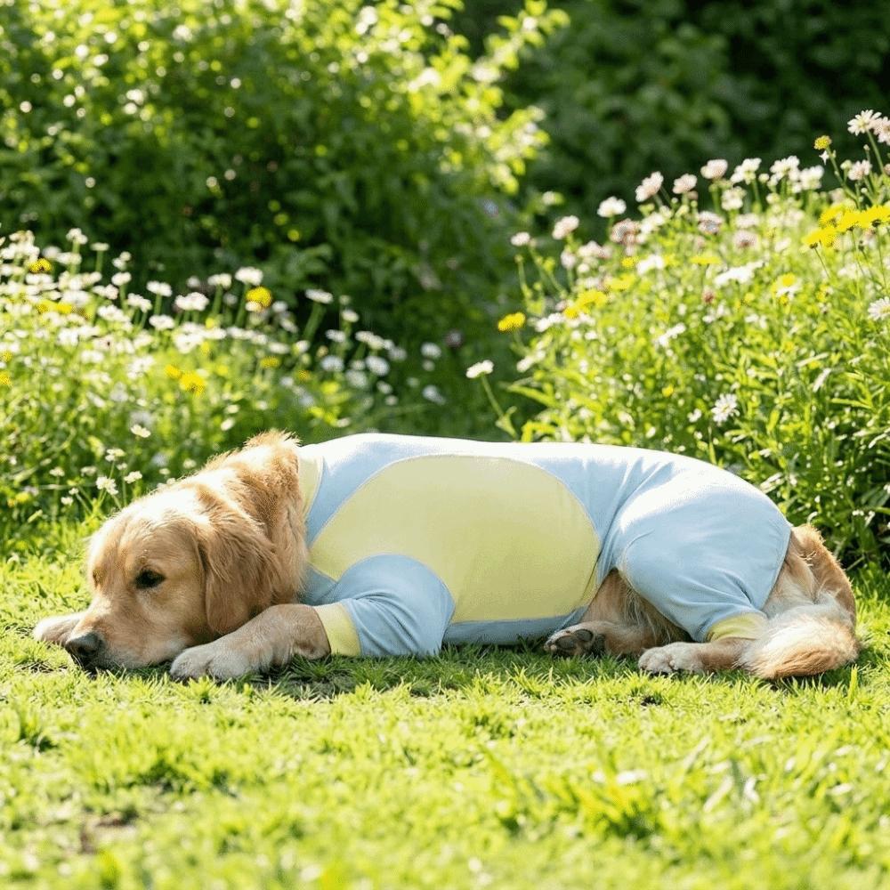 Cool Feeling Dog Sunscreen Costume Sun Protection Dog Summer Clothes Insect Protection Season