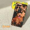 Golden Retriever Friend Case For Samsung Galaxy M31 M56 M13 M33 M53 M15 M35 M55 M06 M16 M36 M12 M32 M52 M14 M34 M54