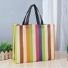 New Women Foldable Shopping Bag Reusable Eco Tote Pouch Large Non-woven Shopper Bags Canvas Travel Grocery Shopping Bags