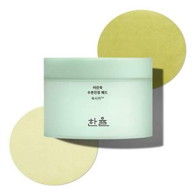 Водные успокаивающие подушечки Pure Artemisia 60 шт.