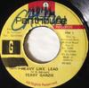 7inch Record TERRY GANZIE - Heavy Like Lead PH042 Penthouse Recor 1993 Jamaica Reggae, Ska & Dub Used