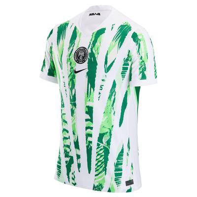 Nike Dri-Fit Fan Edition Сезон 2025 Команда Нигерии Быстросохнущая Короткий рукав Футбольная Рубашка Мужские Топы Белый Сосново-зеленый Влиятельно-зеленый HM9660-100
