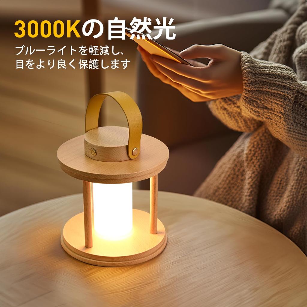 LED Cordless Table Lamp Rechargeable Lamp with Dimmable Eye Care Lighting Portable Touch Lamp for Outdoor Camping Living Room Bedroom Bedside Office
