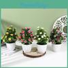 Fake Hibiscus Flower 25pcs Round Small Potted Plants For Coffee Table Ornaments And Scene Decoration
