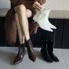 2025 Autumn New Pointed Thin Heel High Heel Temperament French Fashion Sexy Beautiful Women Short Boots