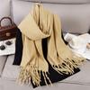 Luxury 2 Colours Cashmere Scarf Women Autumn Winter Shawl Pashmina Handkerchief Lady Pareo Soft Outdoor Windproof Travel Bufanda