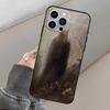 Чехол для телефона iPhone15Pro Max Испания, Франсиско Гойя, чехол для телефона Art