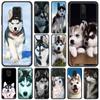 Alaskan Husky Dog Cute Puppy Phone Case For Xiaomi Redmi Note 12 11 9S 9 8 10 Pro 7 8T 9C 9A 8A K40 Gaming Black Cover Luxury