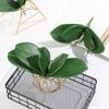 Leaves Decorative Flowers Phalaenopsis Leaf Simulation Leaves Artificial Plants Plastic Grass
