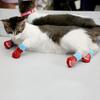 Pet Supplies Cute and Warm Cats Dogs Pet Socks Cat Socks Dog Socks