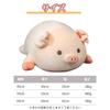 S.T.S.G Pig Plush Cushion, Cute Body Pillow, Soft and Fluffy, Perfect for Sleeping Together, Soothing (Pig with Open Eyes (50cm))