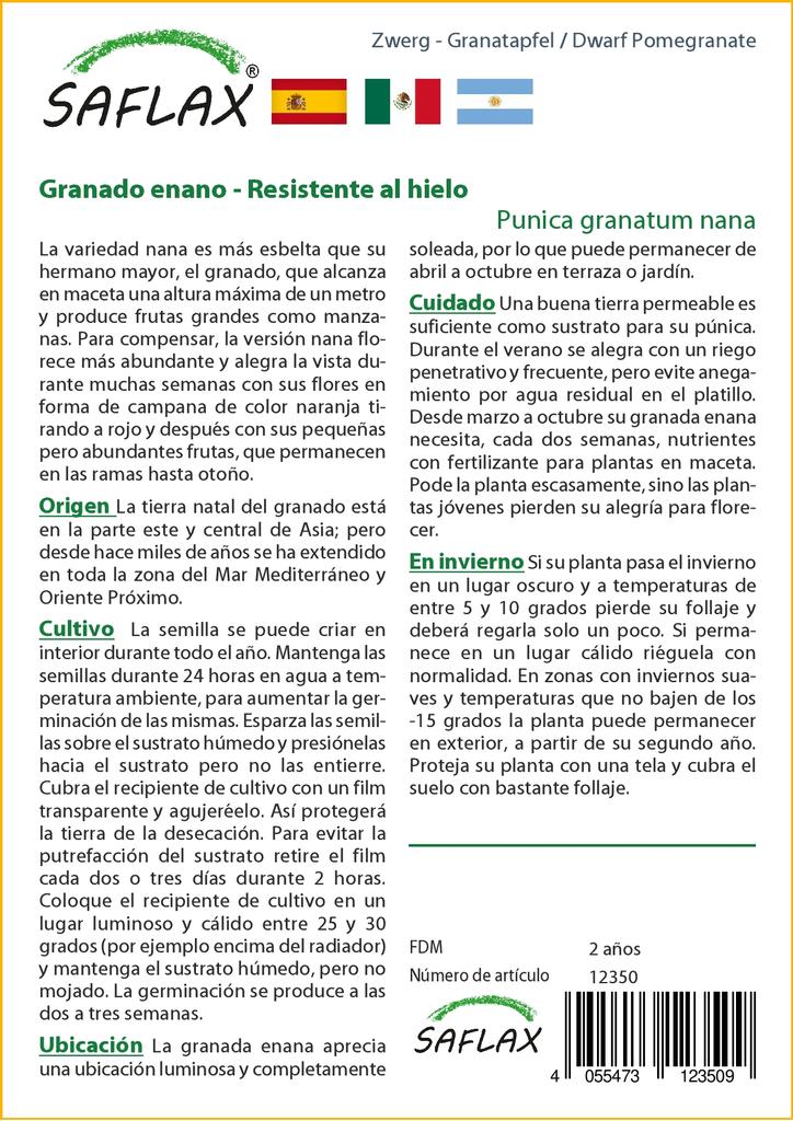 SAFLAX Карликовый гранат - 50 семян - С горшечным субстратом для лучшего выращивания - Punica granatum nana