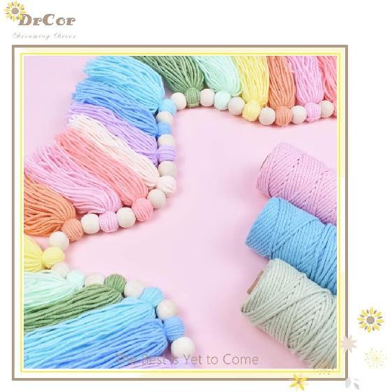 DrCor Pastel Rainbow Boho Tassel Garland – Handmade Colorful Yarn Banner for Nursery, Kids Bedroom, Baby Shower, Birthday Party Backdrop, Dorm,