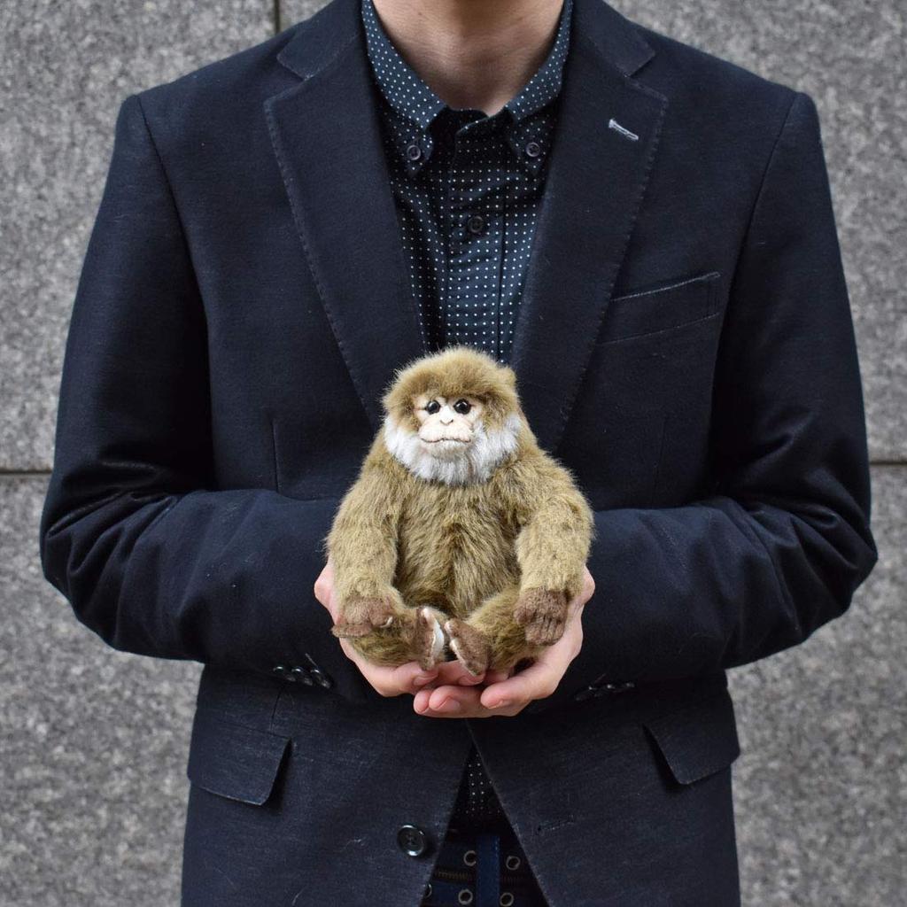 BH6319 HANSA Обезьяна 15