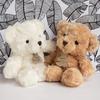 Peluche Ours Câlin Miel 21 cm - HISTOIRE D'OURS - Mixte - Enfant - Beige