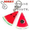 Every time I see it my stomach growls. Watermelon food sample magnet cute interesting souvenir gift 037M Coconut Accessories.