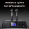 SANSUI SQ209 Home KTV & Home Theater Audio System CN plug (adapter included) (CN version)