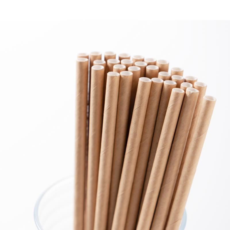Kraft Paper Straws, Eco-Friendly, 8, .