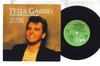 7-дюймовая пластинка PETER GABRIEL Walk Through The Fire Race VS689 VIRGIN 1984 UK Rock Б/у