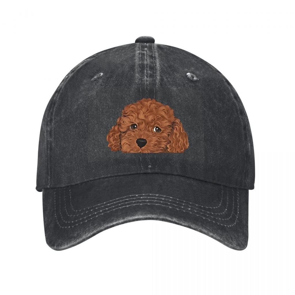 Vintage Poodle Baseball Cap New Vintage Washed Cotton Baseball Cap Parent Kids Sun Hats