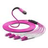 Zhongtian Hengke MPO Multimode Fiber Optic Trunk Cable