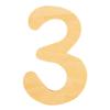 FSC Mix Credit Wooden Number, 6cm 3