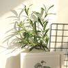 1Pc Artificial Olive Leaves Branch?Plant DIY Bouquet Wedding Party Home Decor