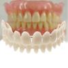 28Pcs/Set Resin Teeth Denture Manufactured Artificial Preformed Dentition