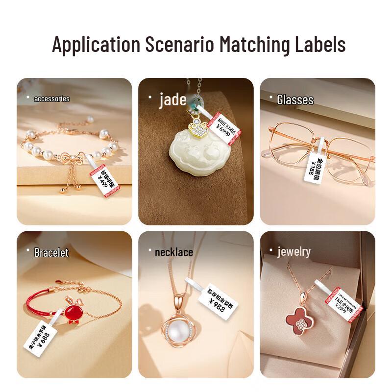 Detong DT5150 Portable Thermal Label Printer CN plug (adapter included)