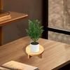 Wooden Planter Stand Desktop Potted Holder Multifunctional Modern Accessories Flower Pot Rack Small
