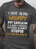 Unisexs I Have Being Grumpytext Letters Casual Tshirt