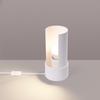 Flash desk lamp white