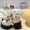 Wear-resistant Heightening Fashionable Foreign Style Versatile Mary Jane Shoes Women's Spring 2025 New Non-slip Niche Platform Single Shoes