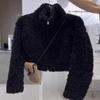 Imitation Lamb Wool Daughter Gold Wind Fur Jacket Short Thin Wool Top Women's Winter Small Thickened Simple