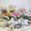 Phalaenopsis Flowers Artificial Decorative Plant For Home And Decoration Event