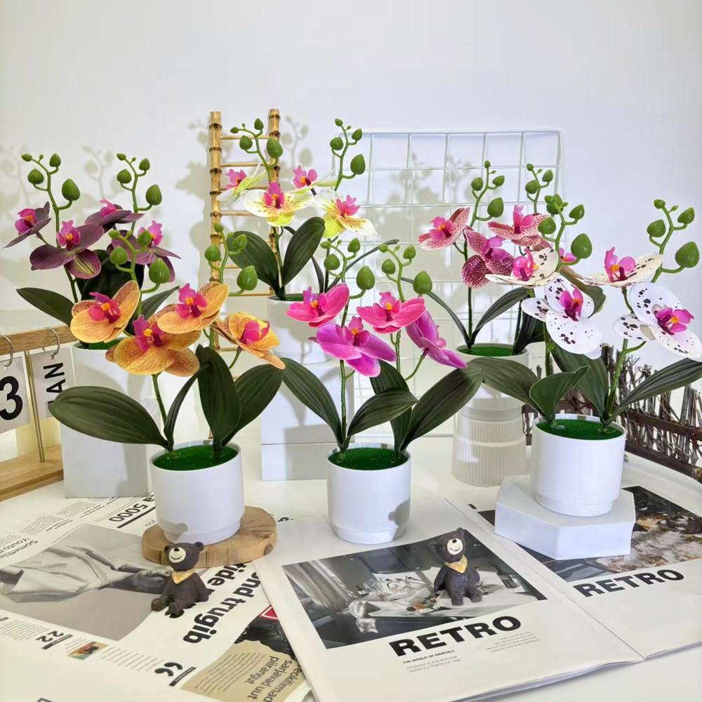 Phalaenopsis Flowers Artificial Decorative Plant For Home And Decoration Event