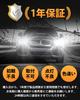 BORDAN H1 LED Headlight, For Vehicle Inspection, High Beam, Non-Polarity, Explosive Light, Pop-Up, 20W