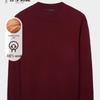 TRIES Men's Round Neck Slim Fit Wool Sweater