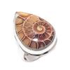 Ammonite Fossil Gemstone 925 Sterling Silver Jewelry Ring Size 8