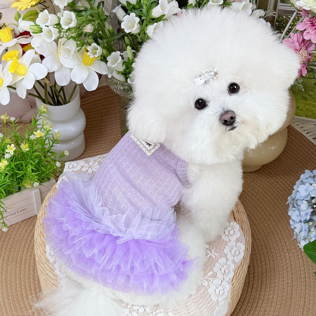 Summer Pet Princess Dress Cat Clothes Spring and Summer Puffy Dress Bichon Teddy Schnauzer Cute Chiffon Dress