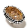 Fossil Coral Gemstone 925 Sterling Silver Gift Jewelry Ring Size 6