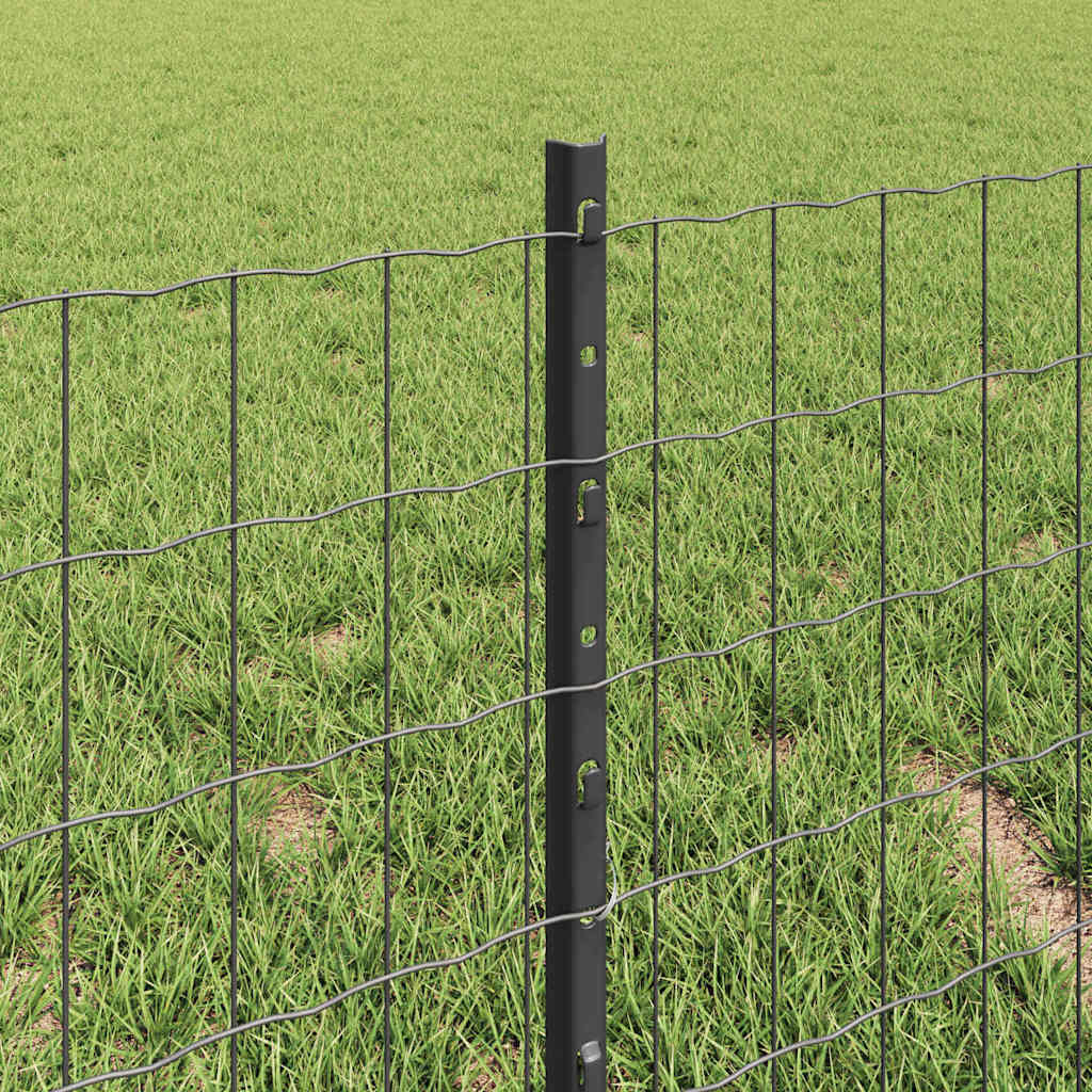 Welded Wire Fence 10 x 0.4 m (W x H)