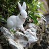 Resin Rabbit Figurine Ornaments Cute Animal Figurine Garden Decoration Bunnies Sculpture Patio